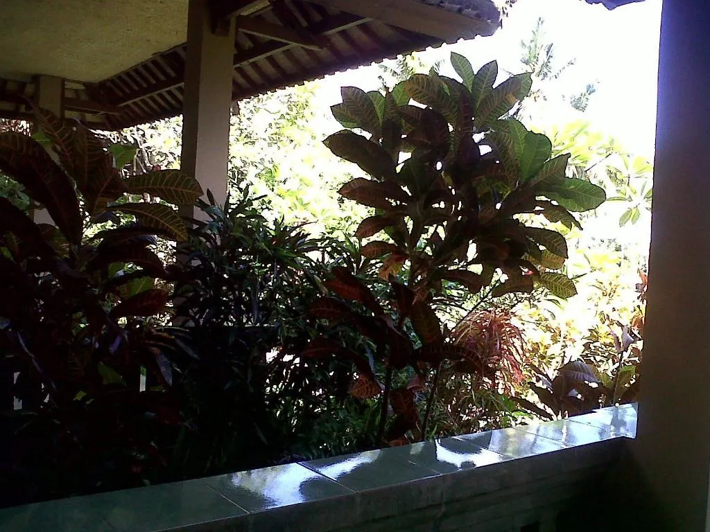Guest house Arjana Bungalows Rice Field Ubud