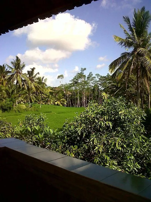 Guest house Arjana Bungalows Rice Field Ubud