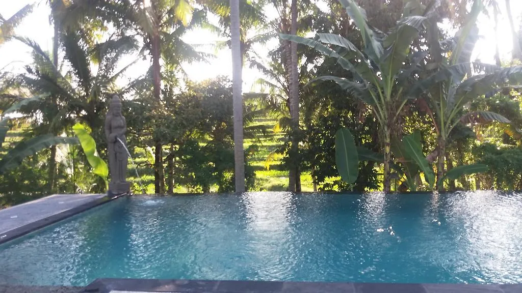 Arjana Bungalows Rice Field Ubud  Guest house